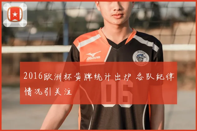2016欧洲杯黄牌统计出炉 各队纪律情况引关注
