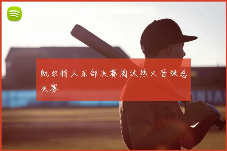凯尔特人东部决赛淘汰热火晋级总决赛