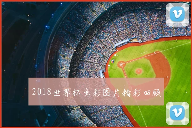 2018世界杯竞彩图片精彩回顾