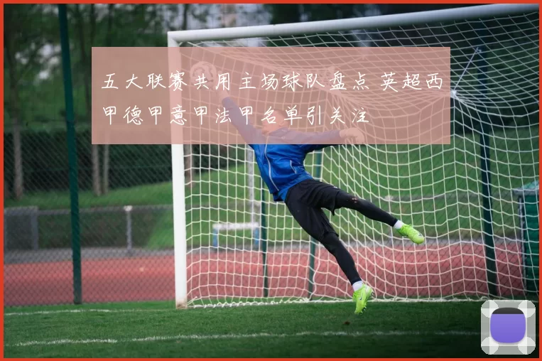 五大联赛共用主场球队盘点 英超西甲德甲意甲法甲名单引关注