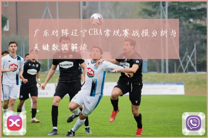 广东对阵辽宁CBA常规赛战报分析与关键数据解读