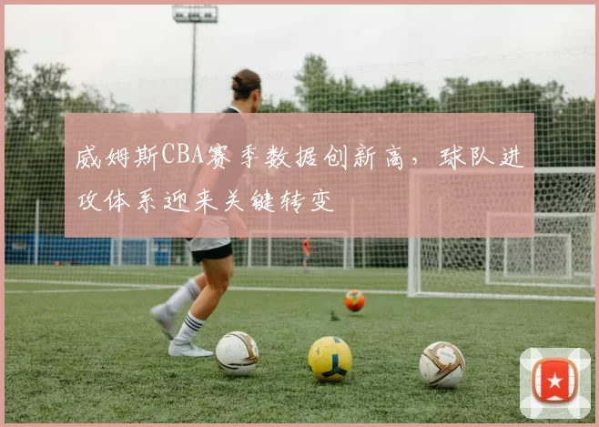 威姆斯CBA赛季数据创新高，球队进攻体系迎来关键转变