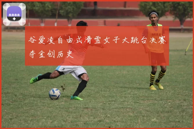 谷爱凌自由式滑雪女子大跳台决赛夺金创历史