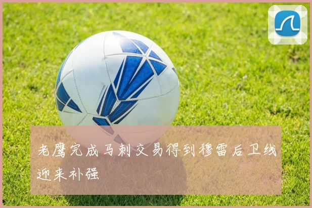 老鹰完成马刺交易得到穆雷后卫线迎来补强