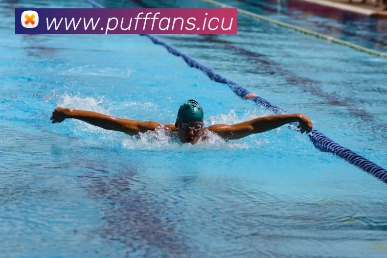 奖项图3